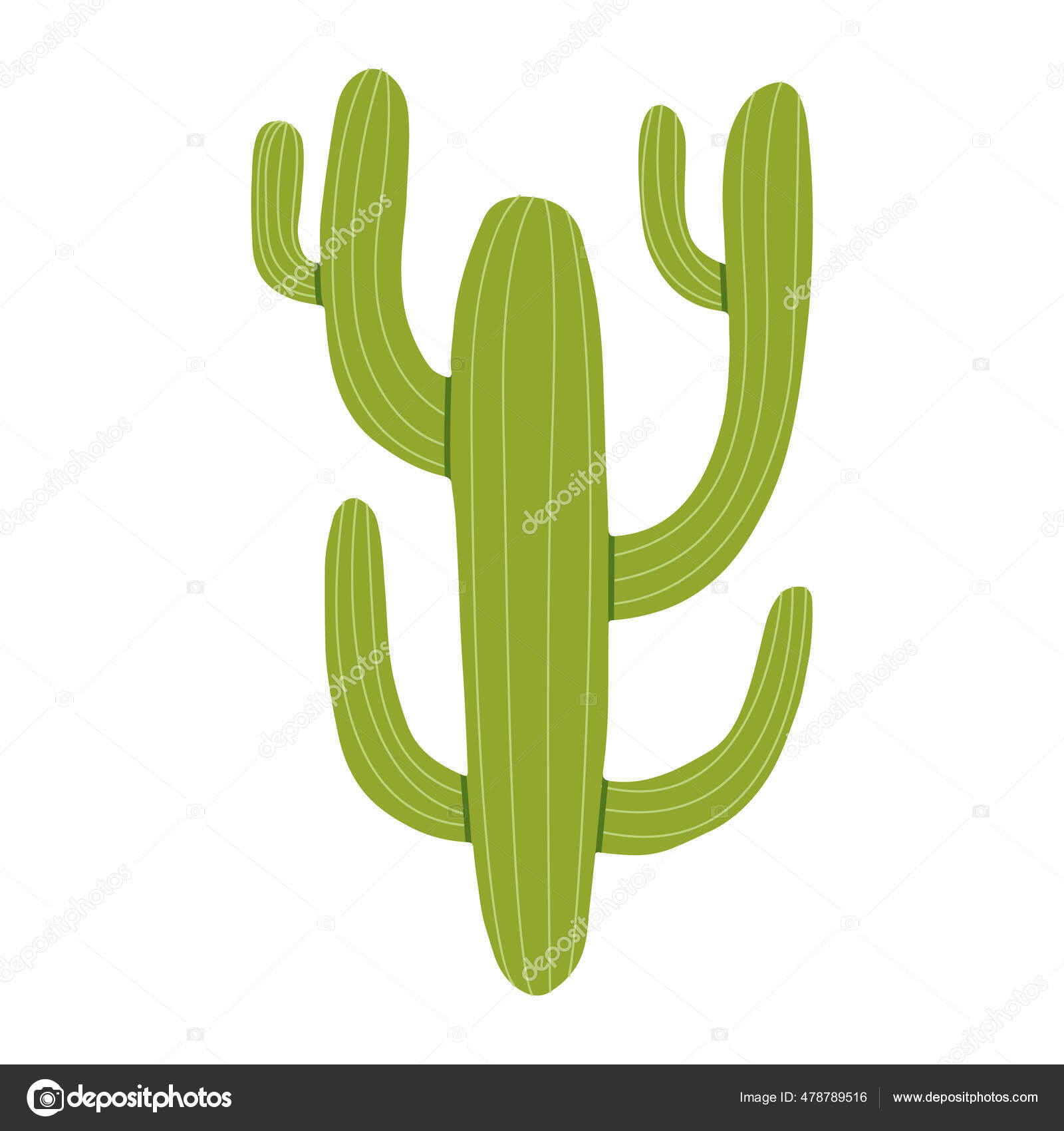 Desenho Animado Vetorial Plano Ilustração Cacto Deserto Uma Planta  Espinhosa imagem vetorial de Chipolla© 478789516